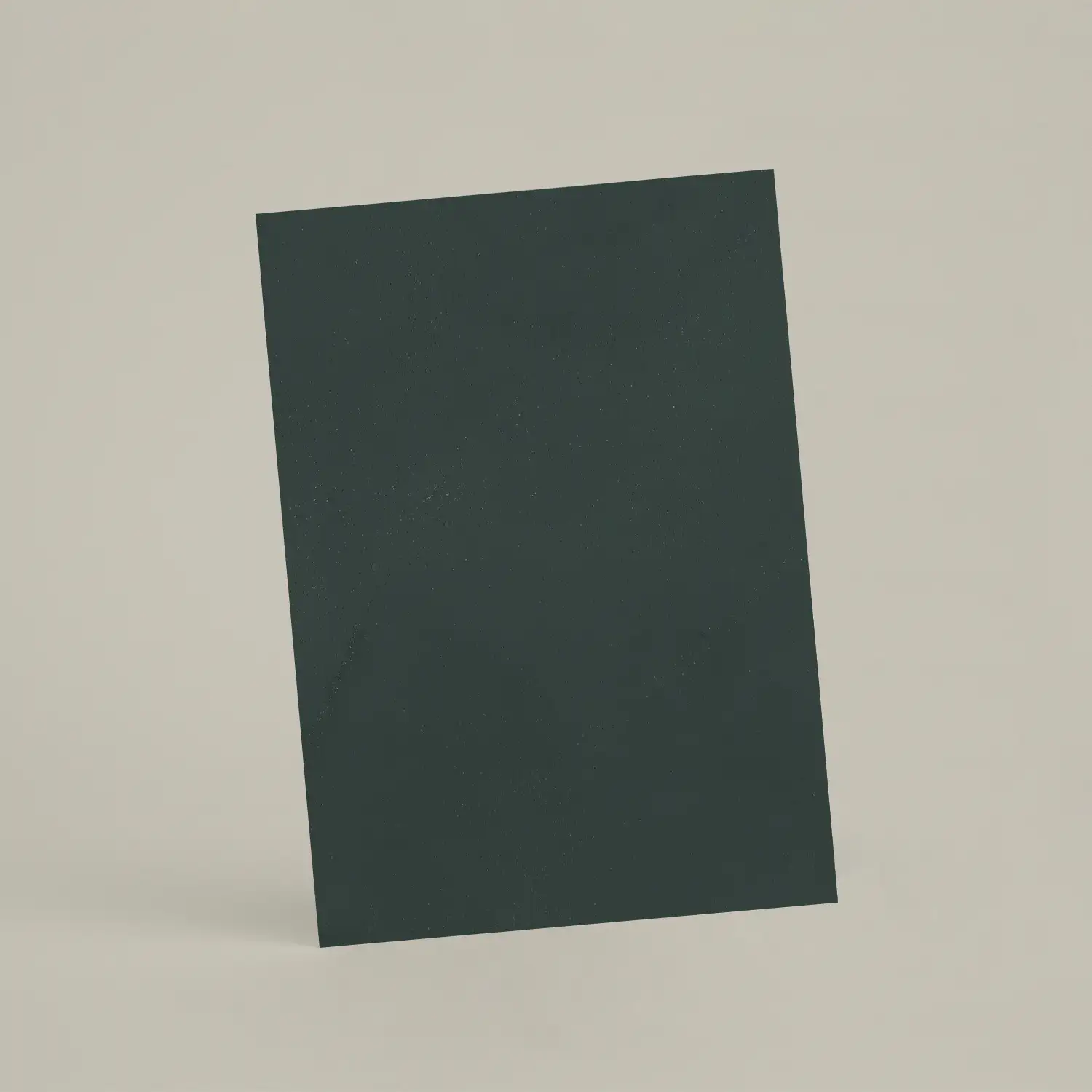 Échantillon A6 Chaux lissée RMDV73 - Canard