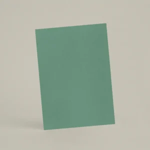 Échantillon A6 Chaux lissée RMDV77 - Étang