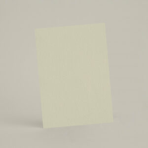 Échantillon A6 eqRMDV22 - Puce