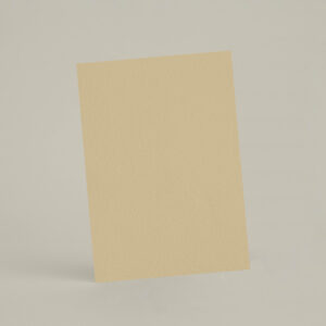 Échantillon A6 eqRMDV24 - Epeautre