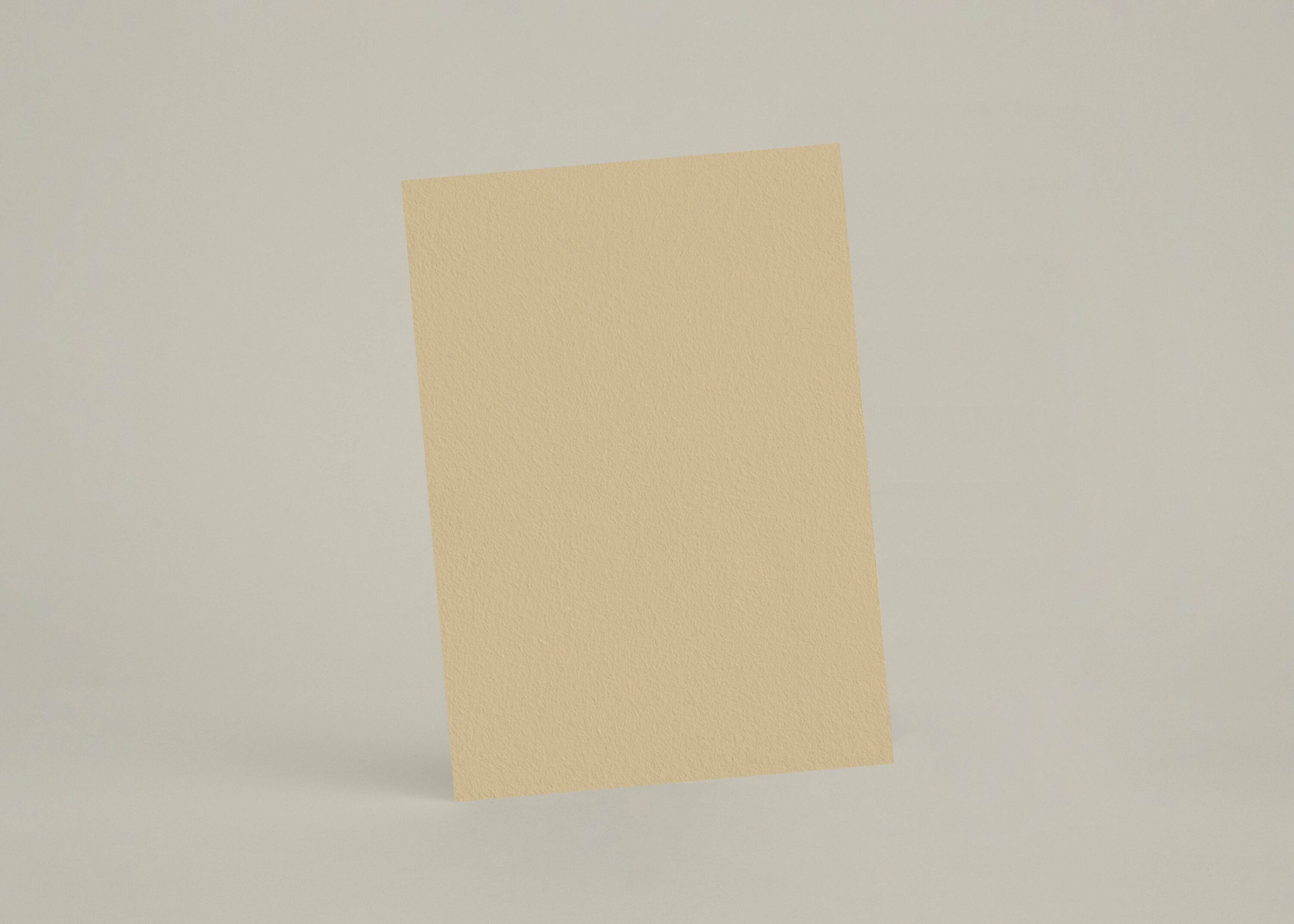 Échantillon A6 eqRMDV24 - Epeautre