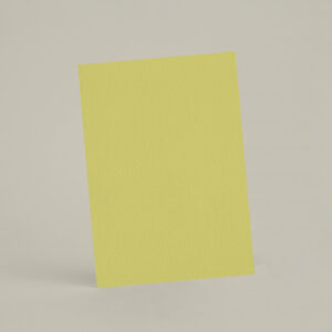 Échantillon A6 eqRMDV29 - Cédrat