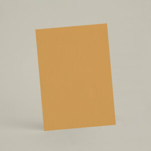 Échantillon A6 eqRMDV31 - Ambre