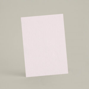 Échantillon A6 eqRMDV42 - Panty