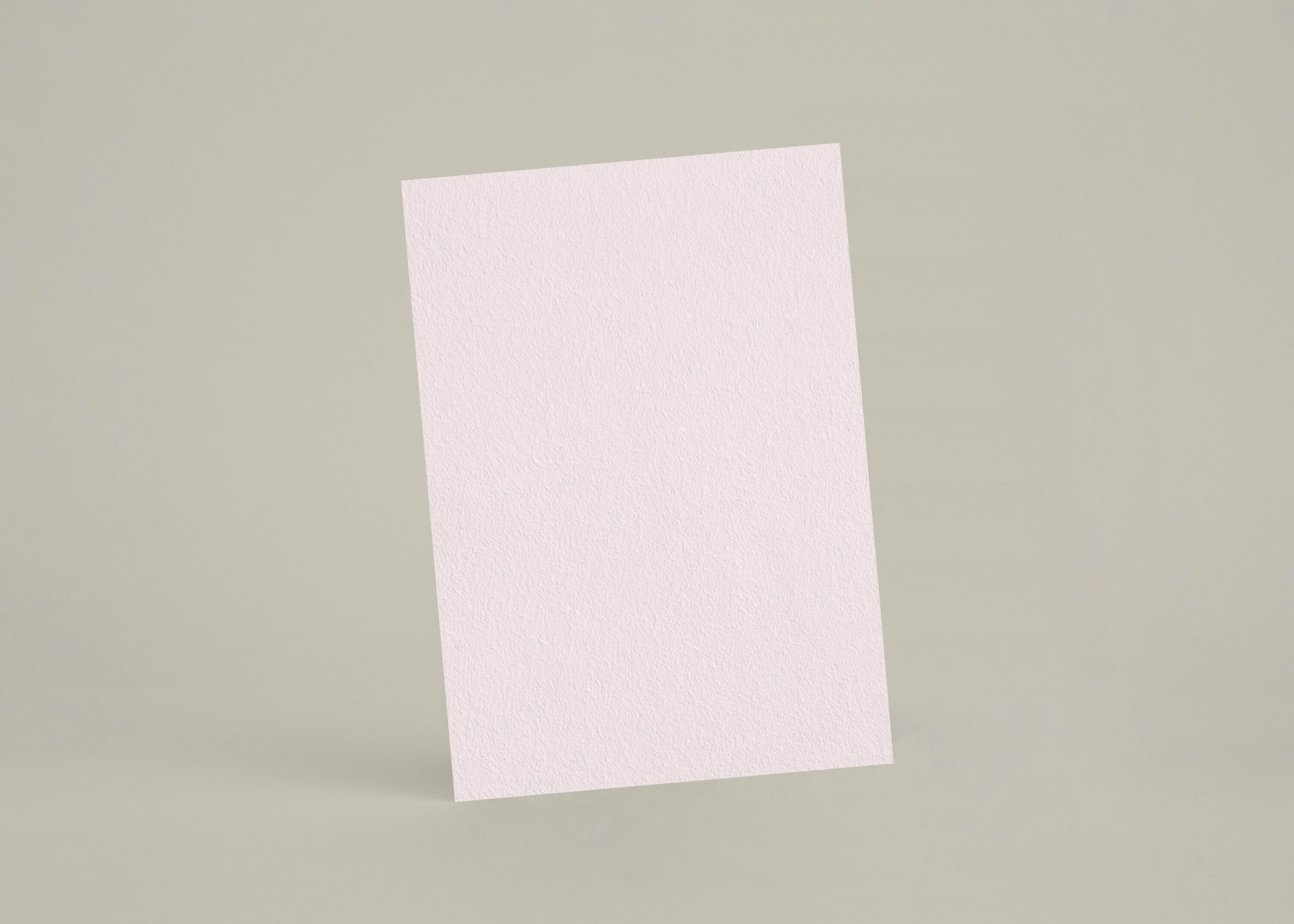 Échantillon A6 eqRMDV42 - Panty