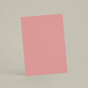 Échantillon A6 eqRMDV44 - Pastèque