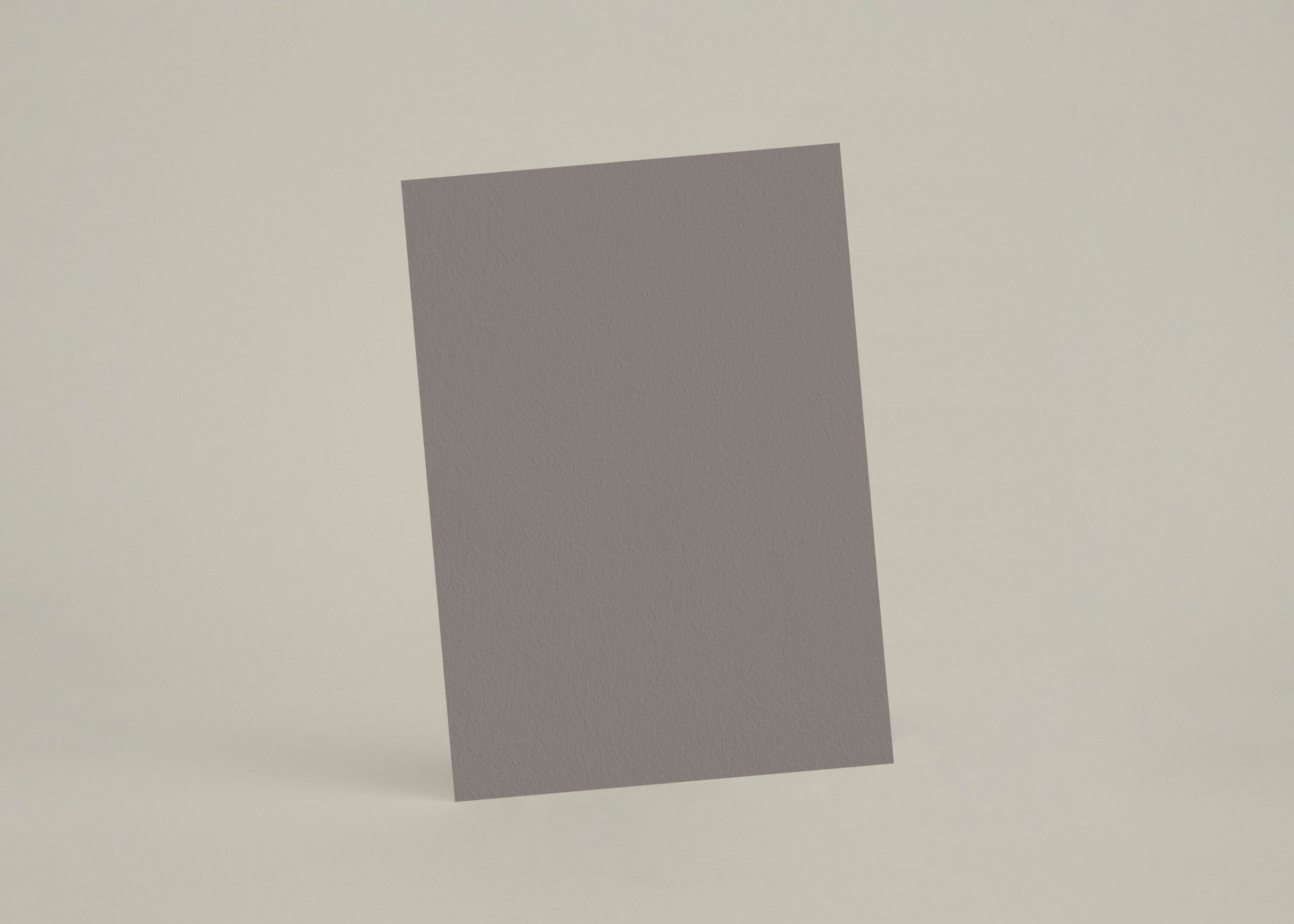 Échantillon A6 eqRMDV53 - Gris Cendré