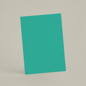 Échantillon A6 eqRMDV67 - Aloe Vera