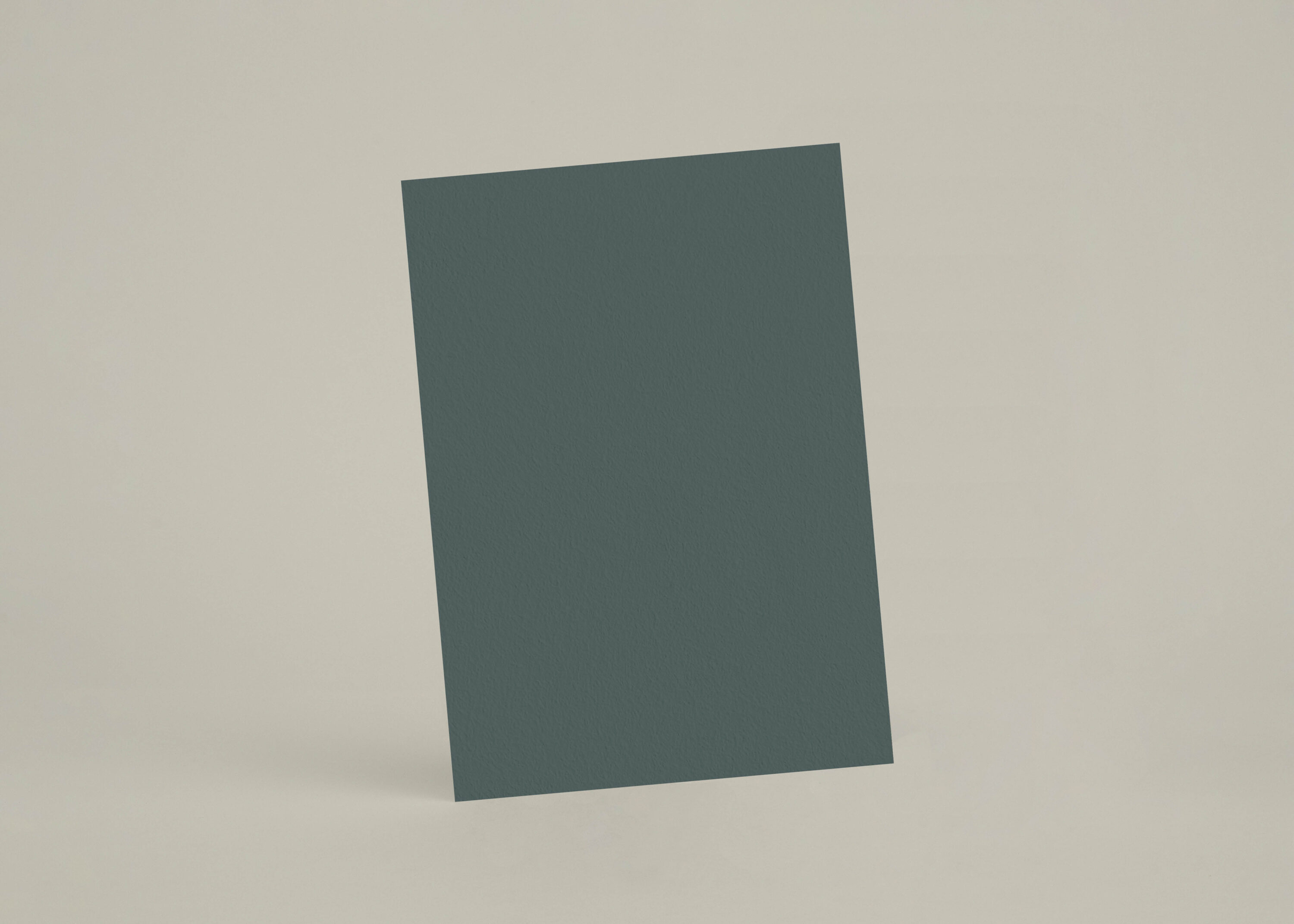 Échantillon A6 eqRMDV72 - Cyprès