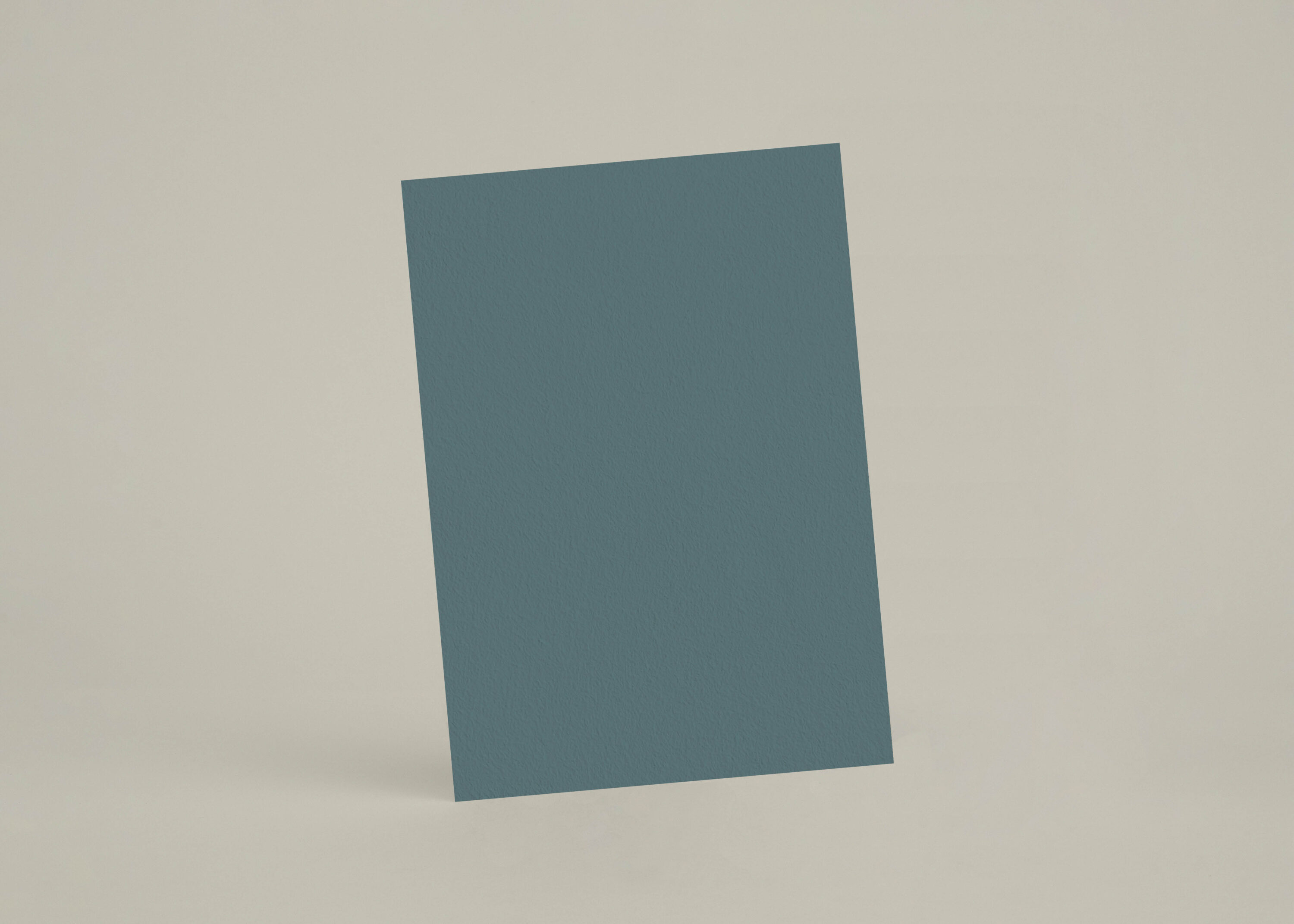 Échantillon A6 eqRMDV73 - Canard