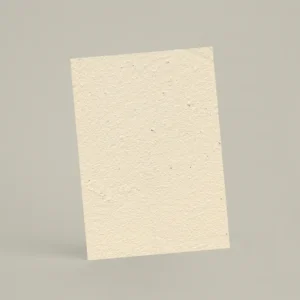 Échantillon A6 EF02