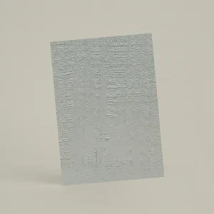 Échantillon A6 EMP02 - Poudre d’Argent