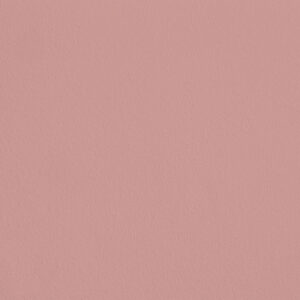 eqRMDV44 - Pastèque