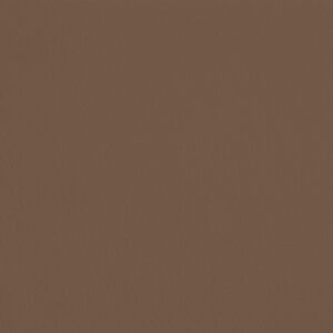 eqRMDV49 - Marron d'Inde