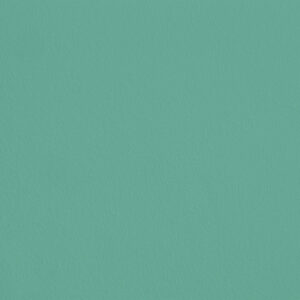 eqRMDV67 - Aloe Vera