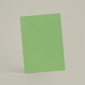 Échantillon A6 ER06 - Frog