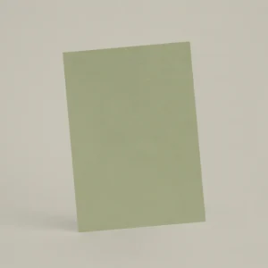 Échantillon A6 ER07 - Toundra