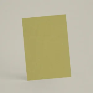 Échantillon A6 ER08 - Graine d’Anis