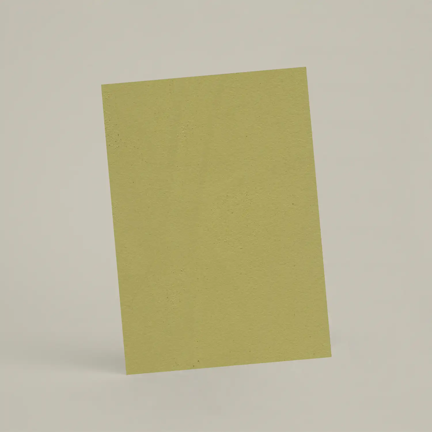 Échantillon A6 ER08 - Graine d’Anis