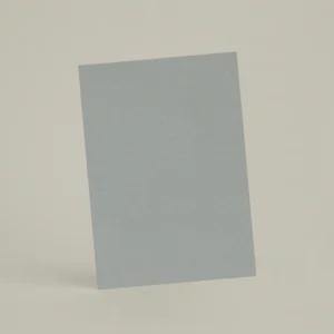 Échantillon A6 ER29 - Baleine