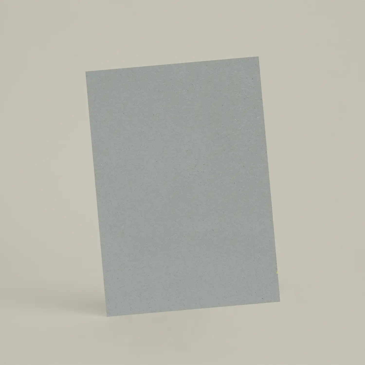 Échantillon A6 ER29 - Baleine