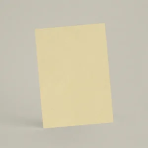 Échantillon A6 ER47 - Lionceau