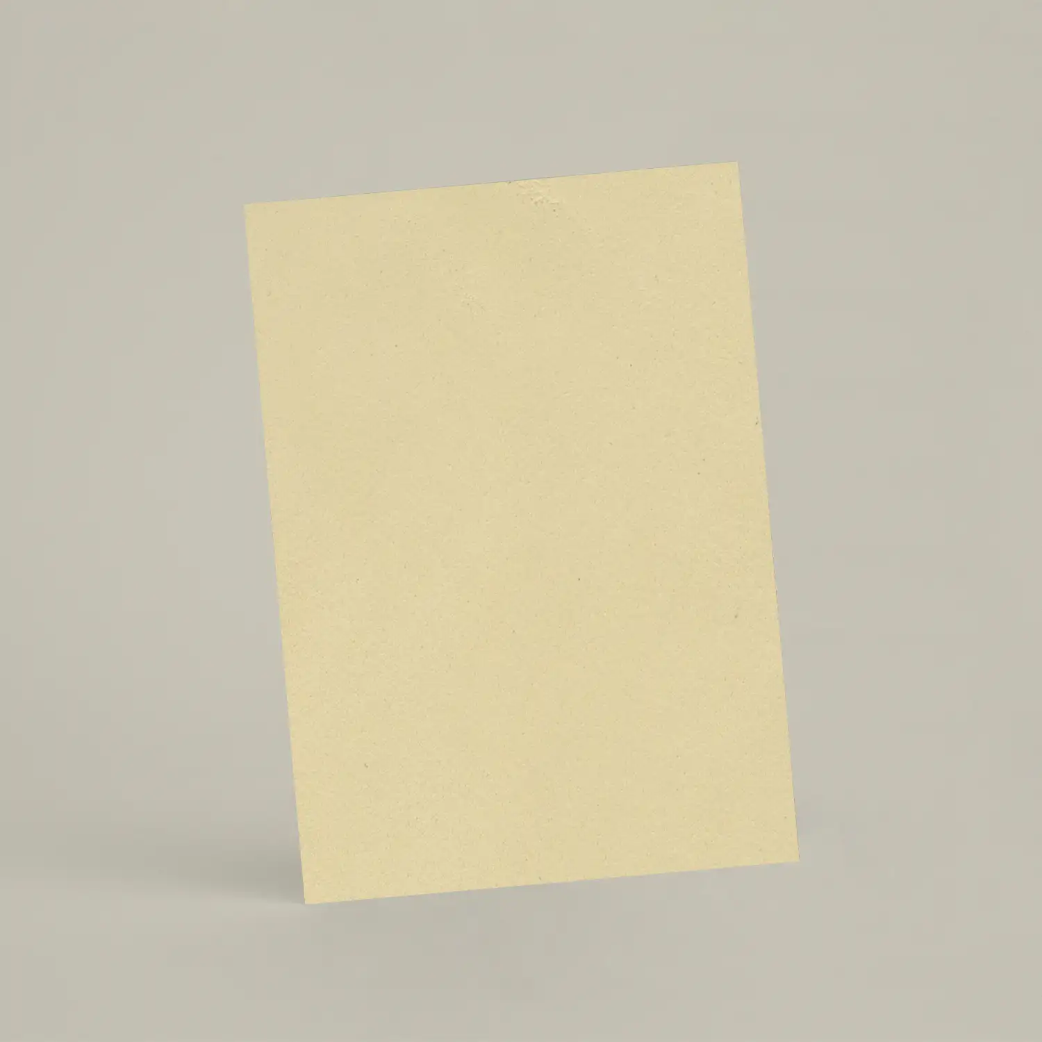 Échantillon A6 ER47 - Lionceau