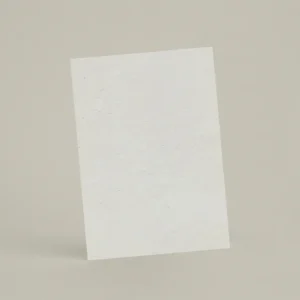 Échantillon A6 ER58 - P’tit Gris