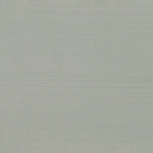 MET02 - Poudre d'Argent