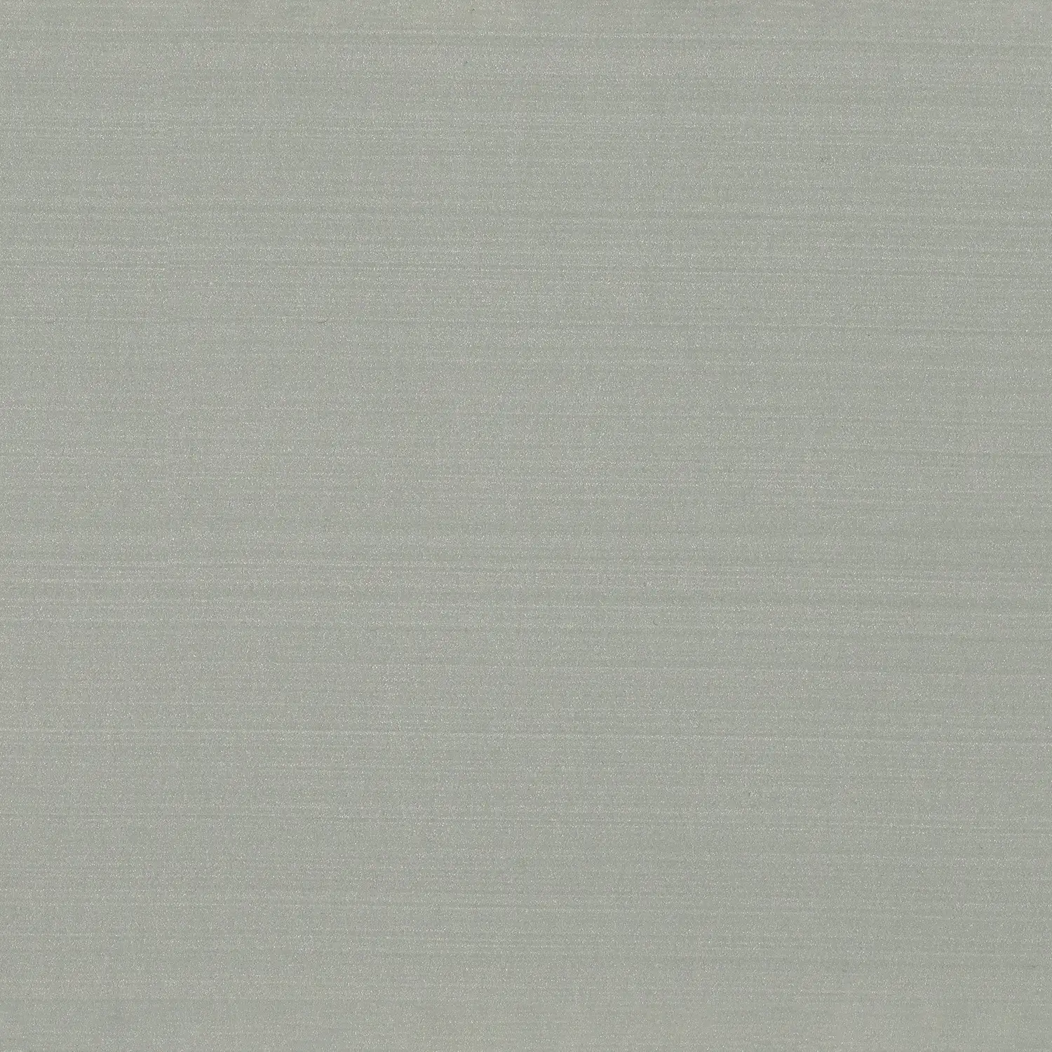 MET02 - Poudre d'Argent