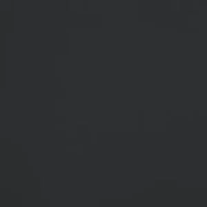 295.R965 - Le Déluge 295.R965 - Le Déluge