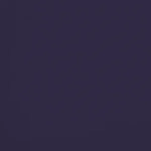 296.R948, Le Naufragé