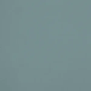 342.R977 - L’OEillade