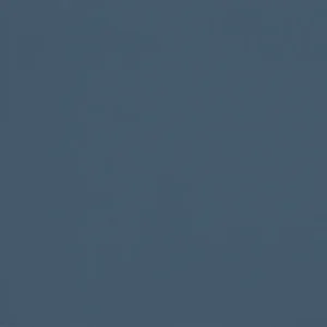 AP27 - Teinture Indigo