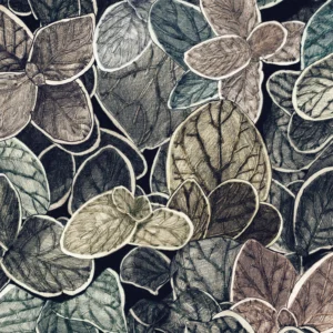 CG01 - Charmille grand