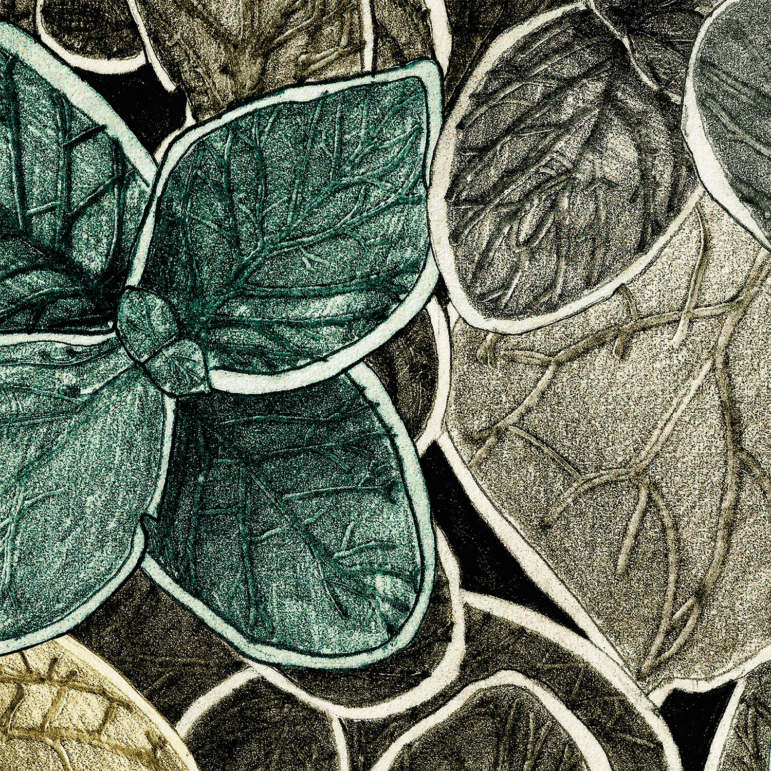 CG02 - Charmille grand