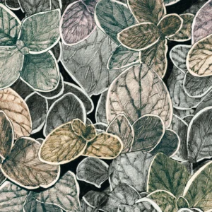 CG03 - Charmille grand