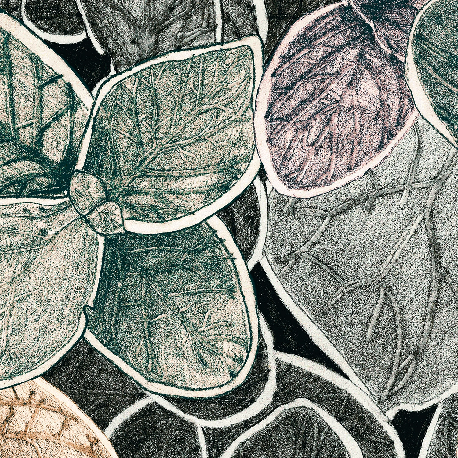 CG03 - Charmille grand