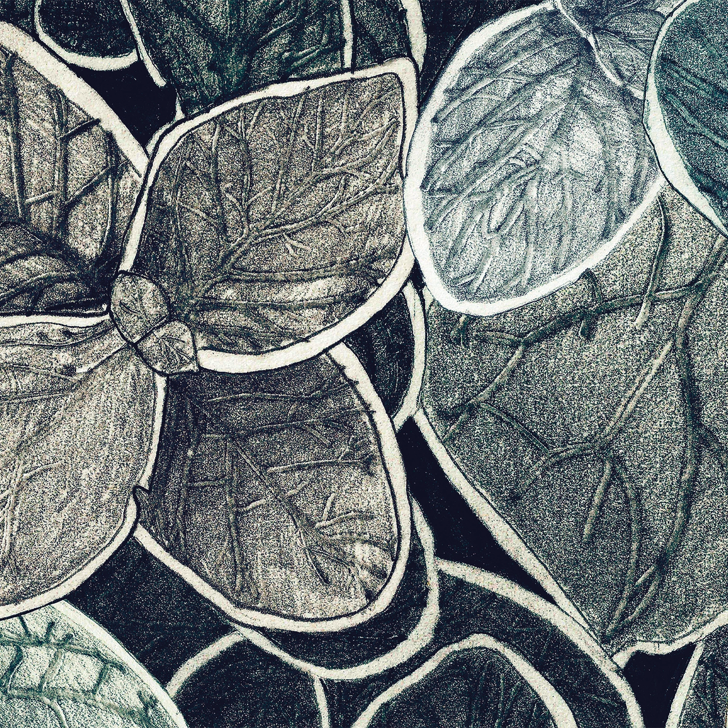 CG04 - Charmille grand