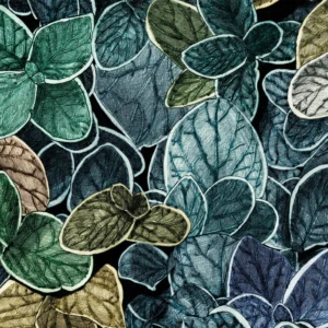 CG05 - Charmille grand