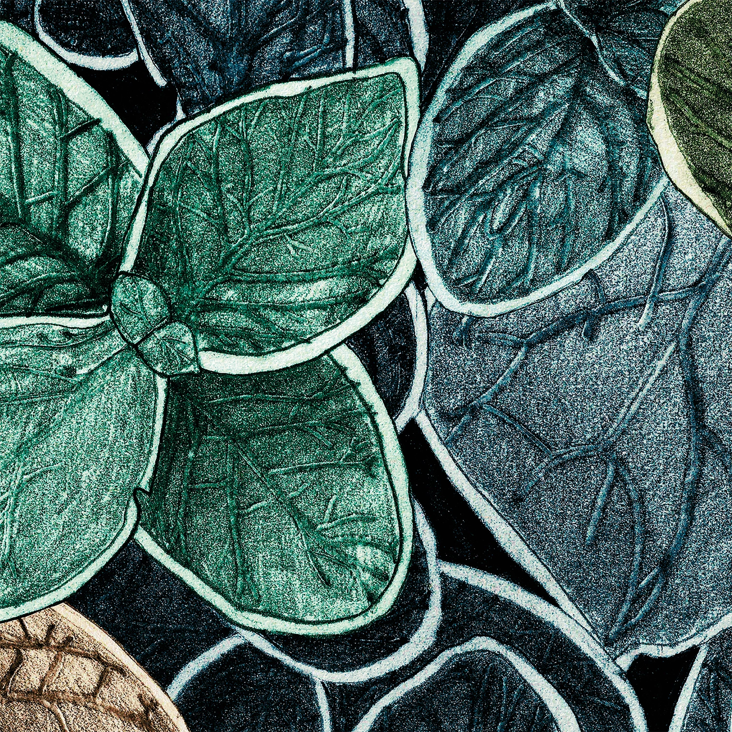 CG05 - Charmille grand