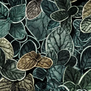 CG06 - Charmille grand