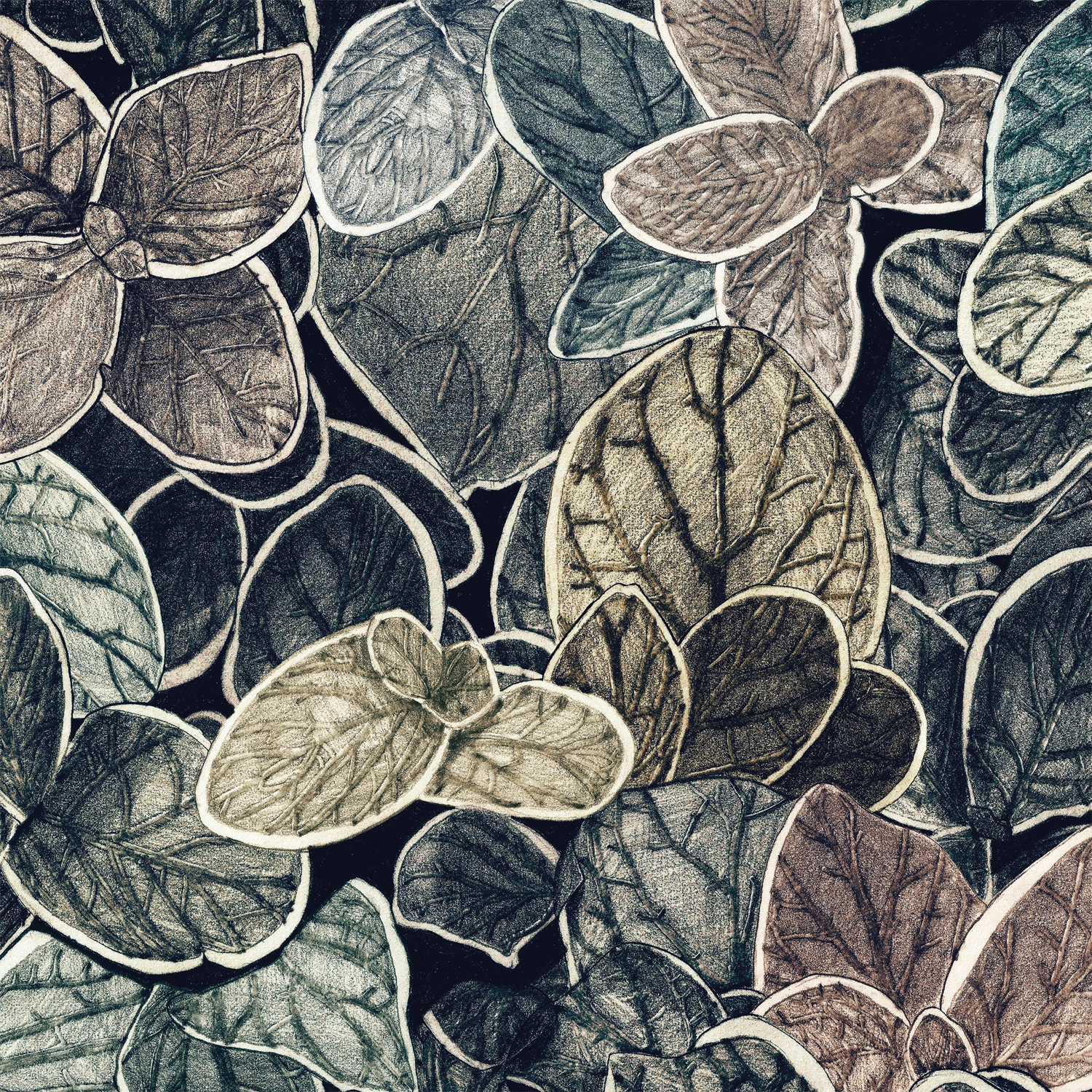 CP01 - Charmille petit