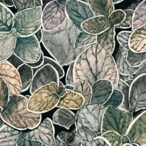 CP03 - Charmille petit