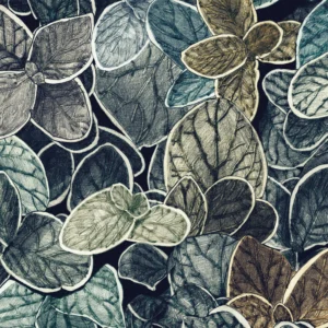 CP04 - Charmille petit