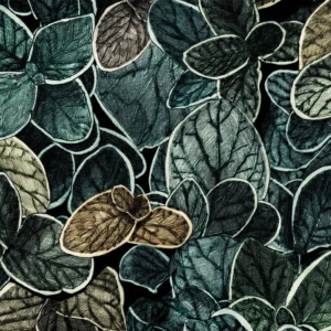 CP06 - Charmille petit