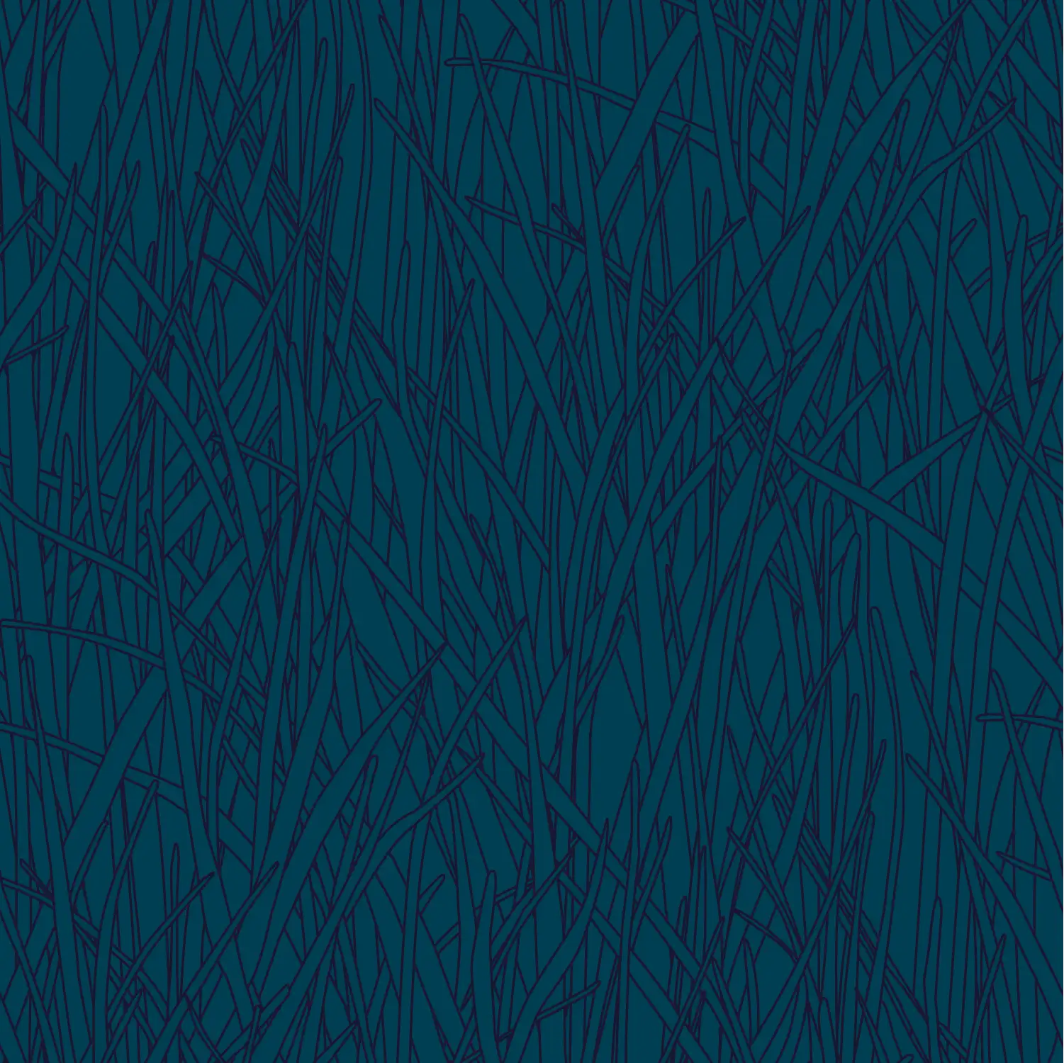 HF06 - Herbes Folles