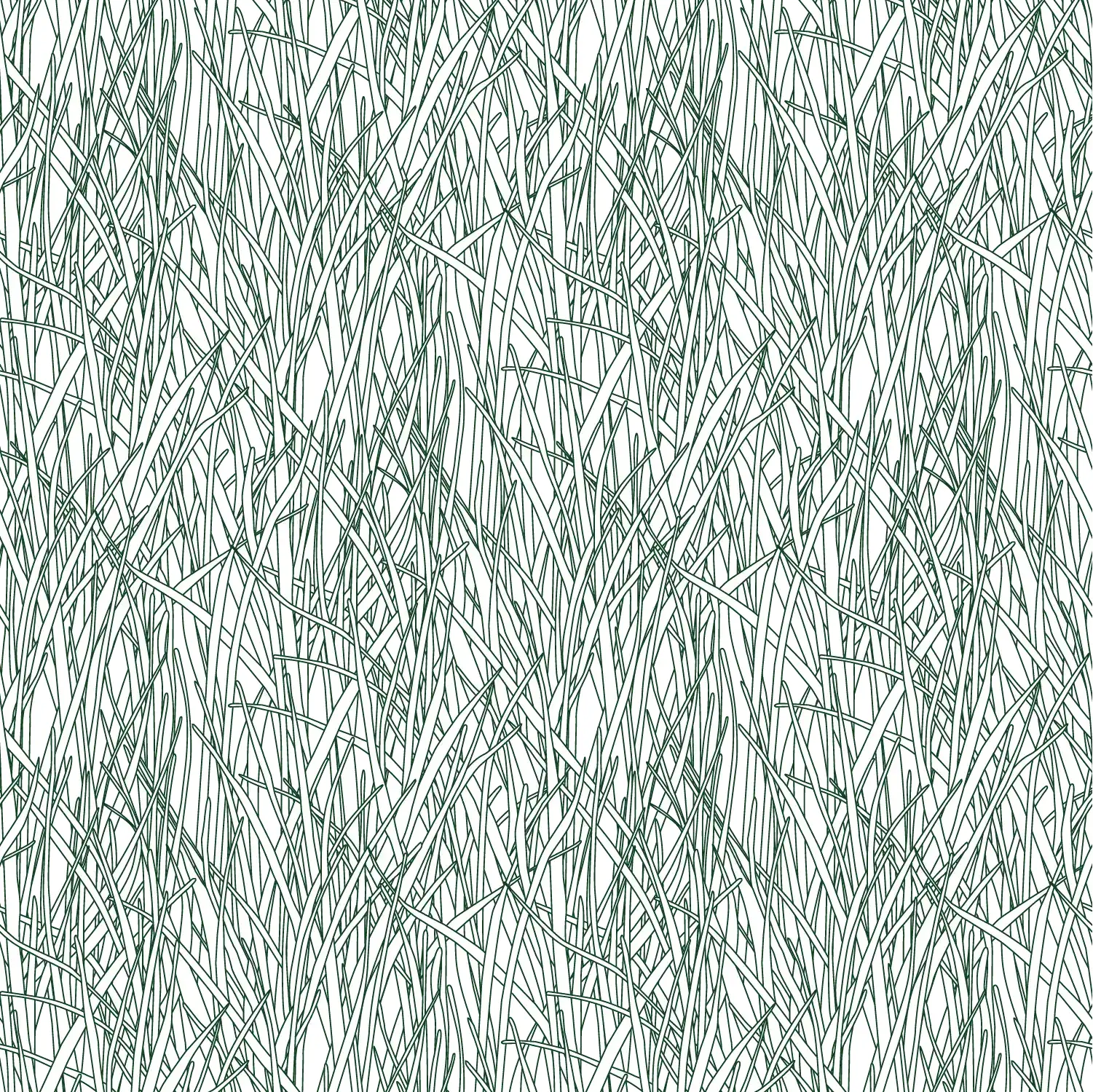 HF08 - Herbes Folles