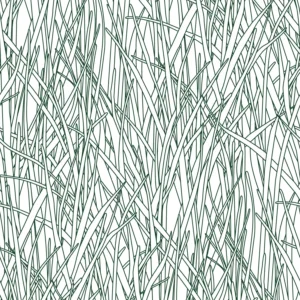 HF08 - Herbes Folles