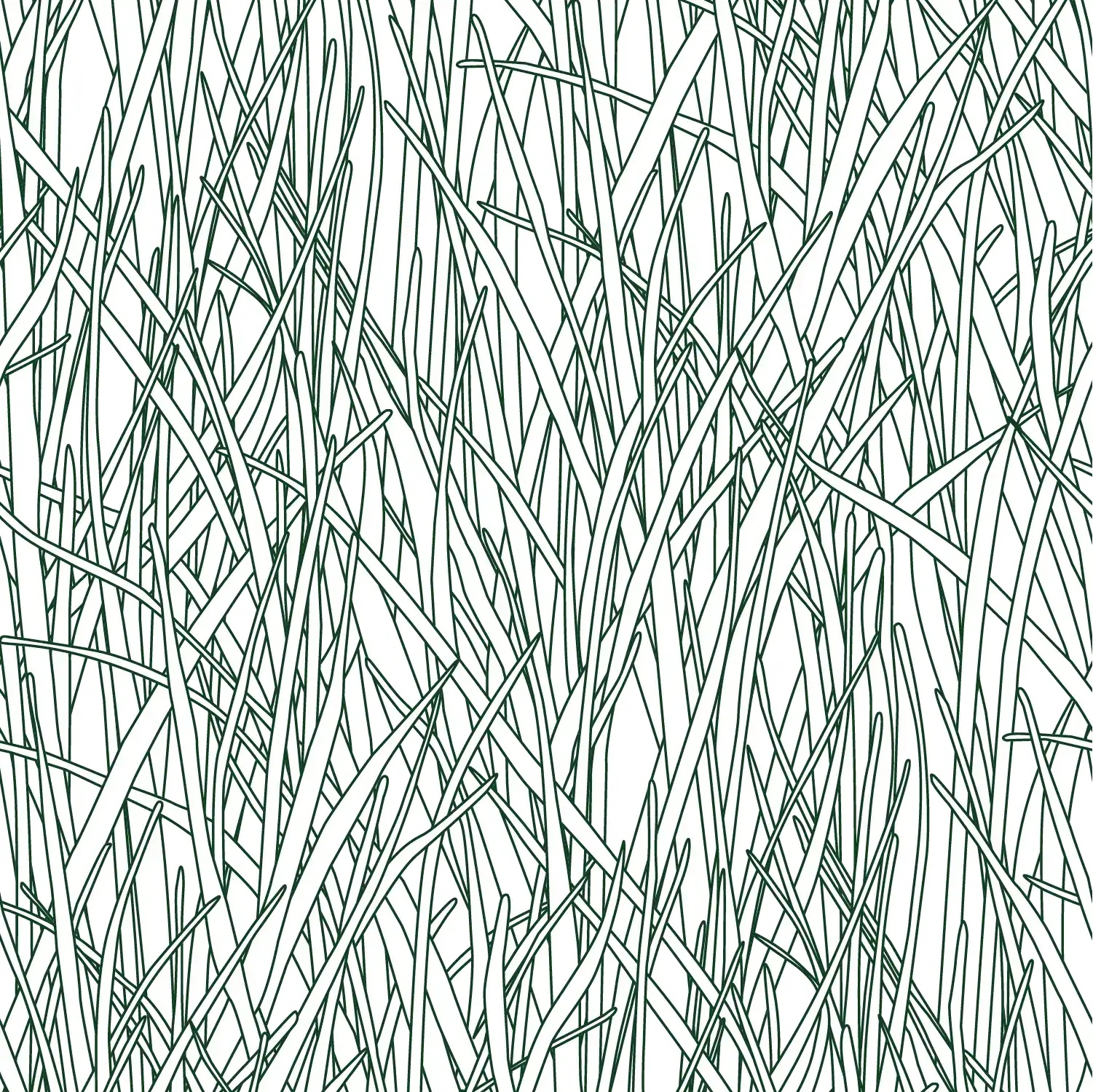 HF08 - Herbes Folles